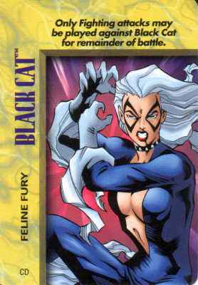 Black Cat Feline Fury
