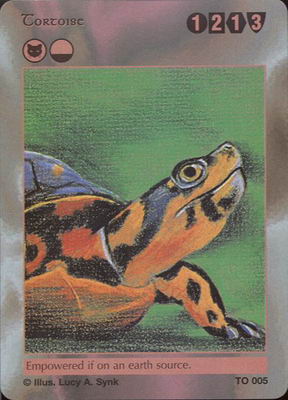 Tortoise