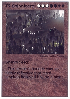 Shinnicera