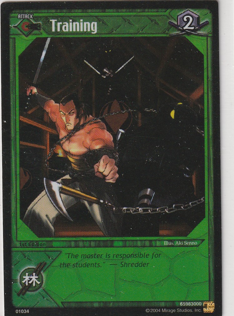 Training Foil