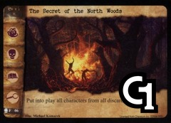 The Secret of the North Woods