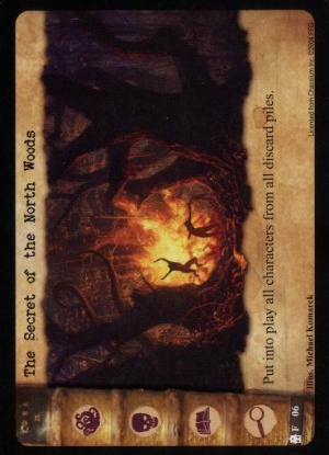 The Secret of the North Woods