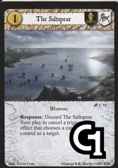 The Saltspear