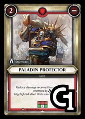 Paladin Protector
