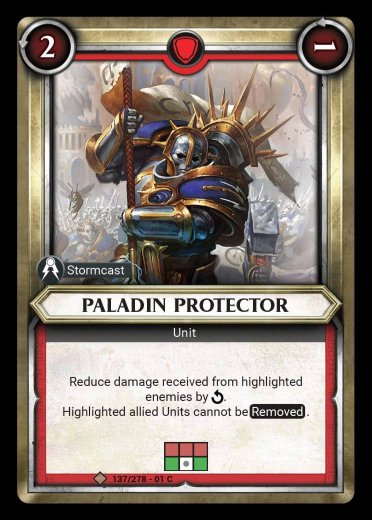 Paladin Protector