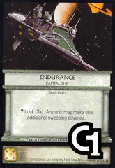 Endurance