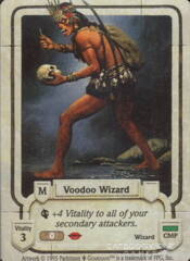 Voodoo Wizard