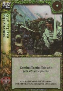 Survey the Battlefield
