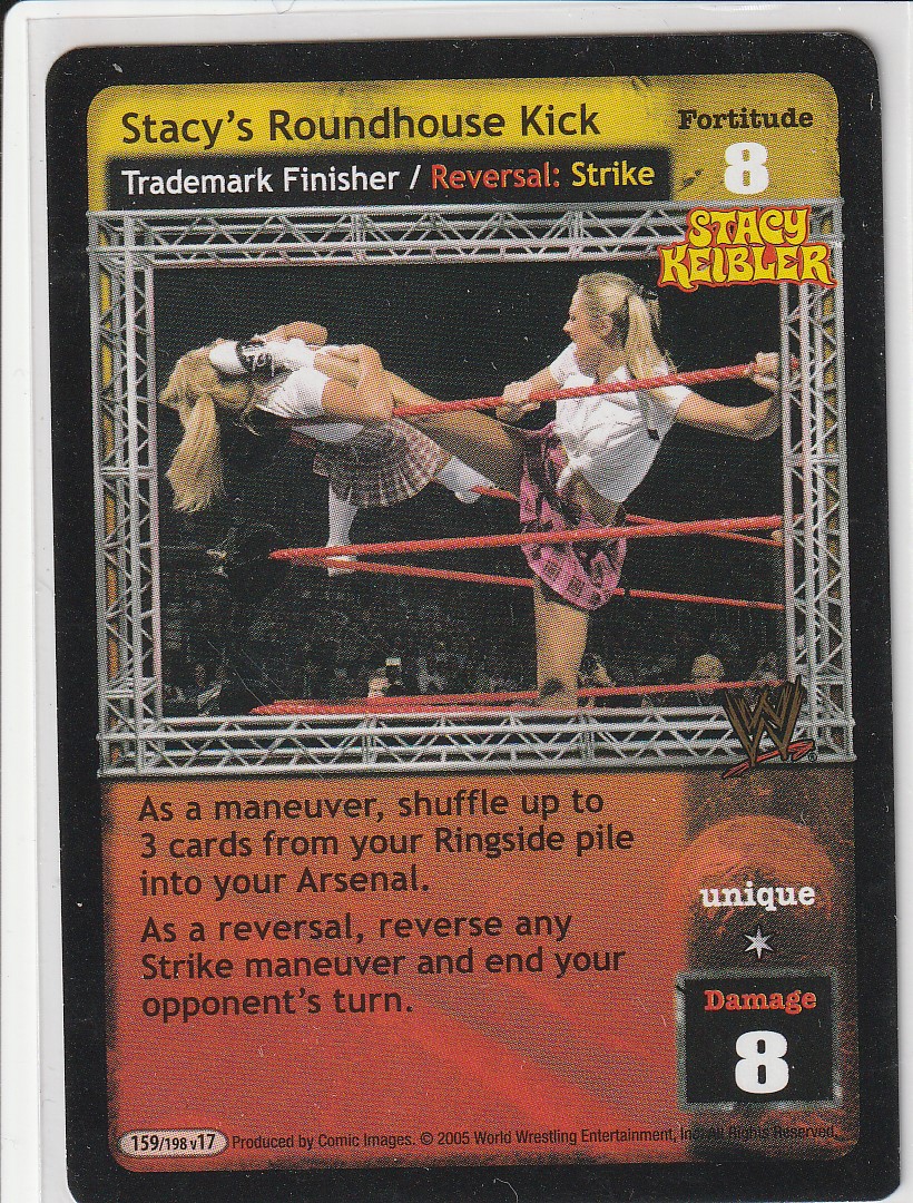 Stacys Roundhouse Kick