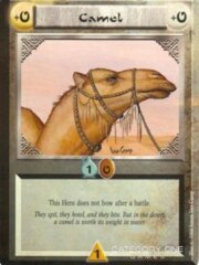 Camel