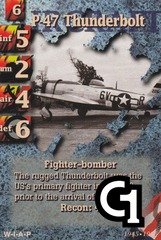 P-47 Thundervbolt - 231