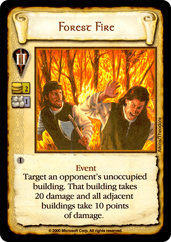 Forest Fire