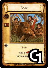 Boar