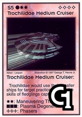 Trochilidae Medium Cruiser