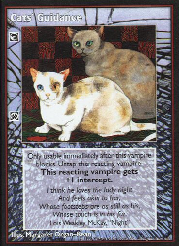 Cats Guidance