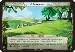 Goldmeadow - Oversized