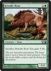 Brindle Boar