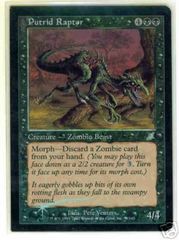 Putrid Raptor - FOIL  2 Square Corners
