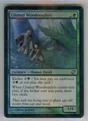 Citanul Woodreaders - Hybrid Foil
