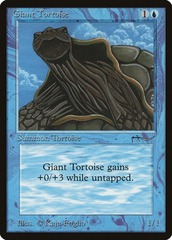 Giant Tortoise (b)