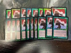 Thorn Elemental - Signed Foil