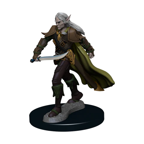 Premium model: Male Elf Fighter