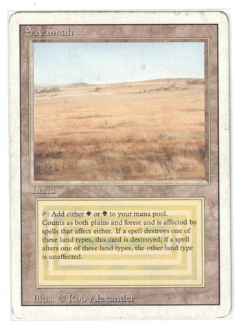 Savannah (#1028)