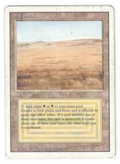 Savannah (#1028)