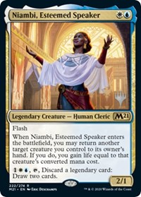 Niambi, Esteemed Speaker - Promo Pack