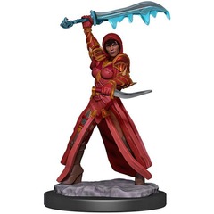 Premium Model: Female Human Rogue+