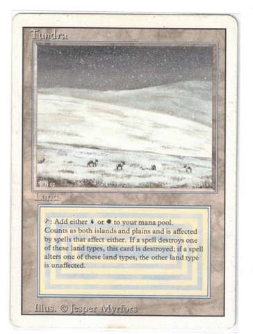 Tundra (#1001)