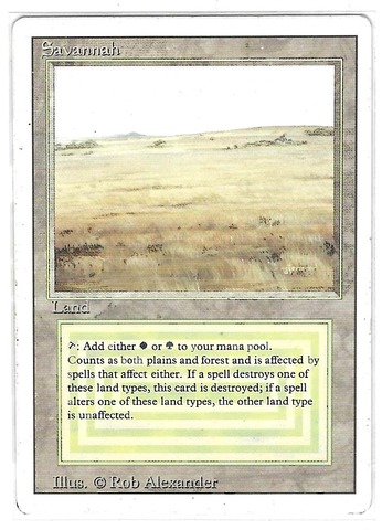 Savannah (#429)
