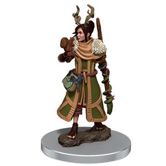 Premium Model: Female Human Druid