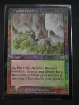 Wooded Foothills - Foil Onslaught