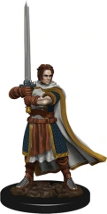 Premium Model: Male Human Cleric