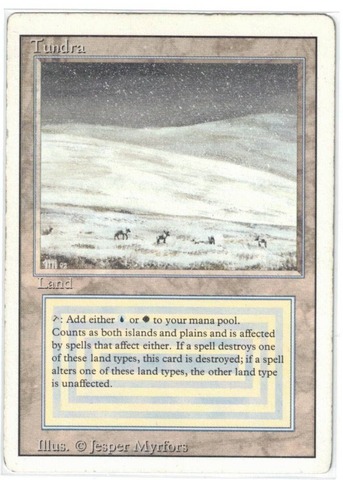 Tundra (#1000)