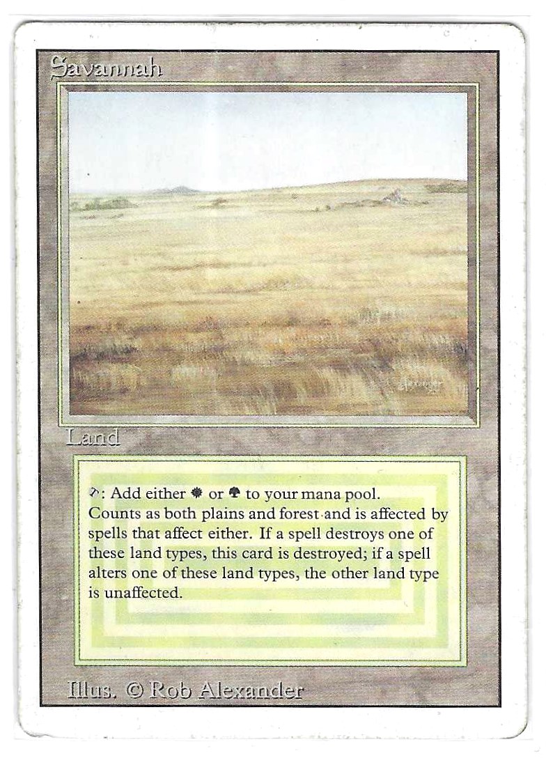 Savannah (#427)