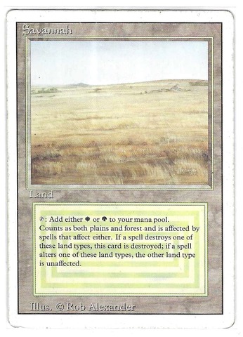 Savannah (#427)