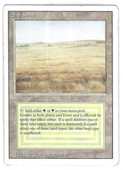 Savannah (#427)