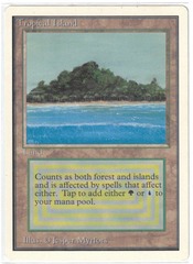 Tropical Island (#1230)