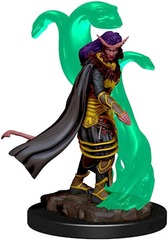 Premium Model:  Female Tiefling Sorcerer