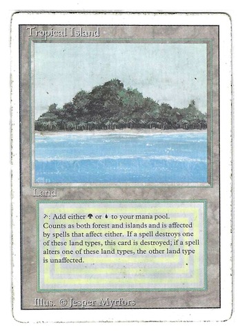 Tropical Island (#222)