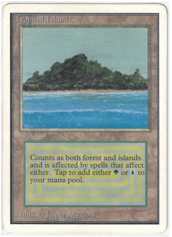 Tropical Island (#1201)