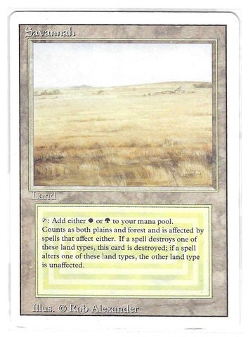 Savannah (#428)
