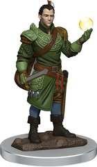 Premium Model: Male Half-Elf Bard