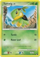 Turtwig - 17/17 - Common