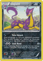 Liepard - 65/98 - Rare - Reverse Holo