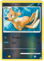 Buizel - 61/106 - Common - Reverse Holo