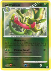 Grovyle - 40/106 - Uncommon - Reverse Holo