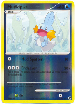 Mudkip - 80/106 - Common - Reverse Holo